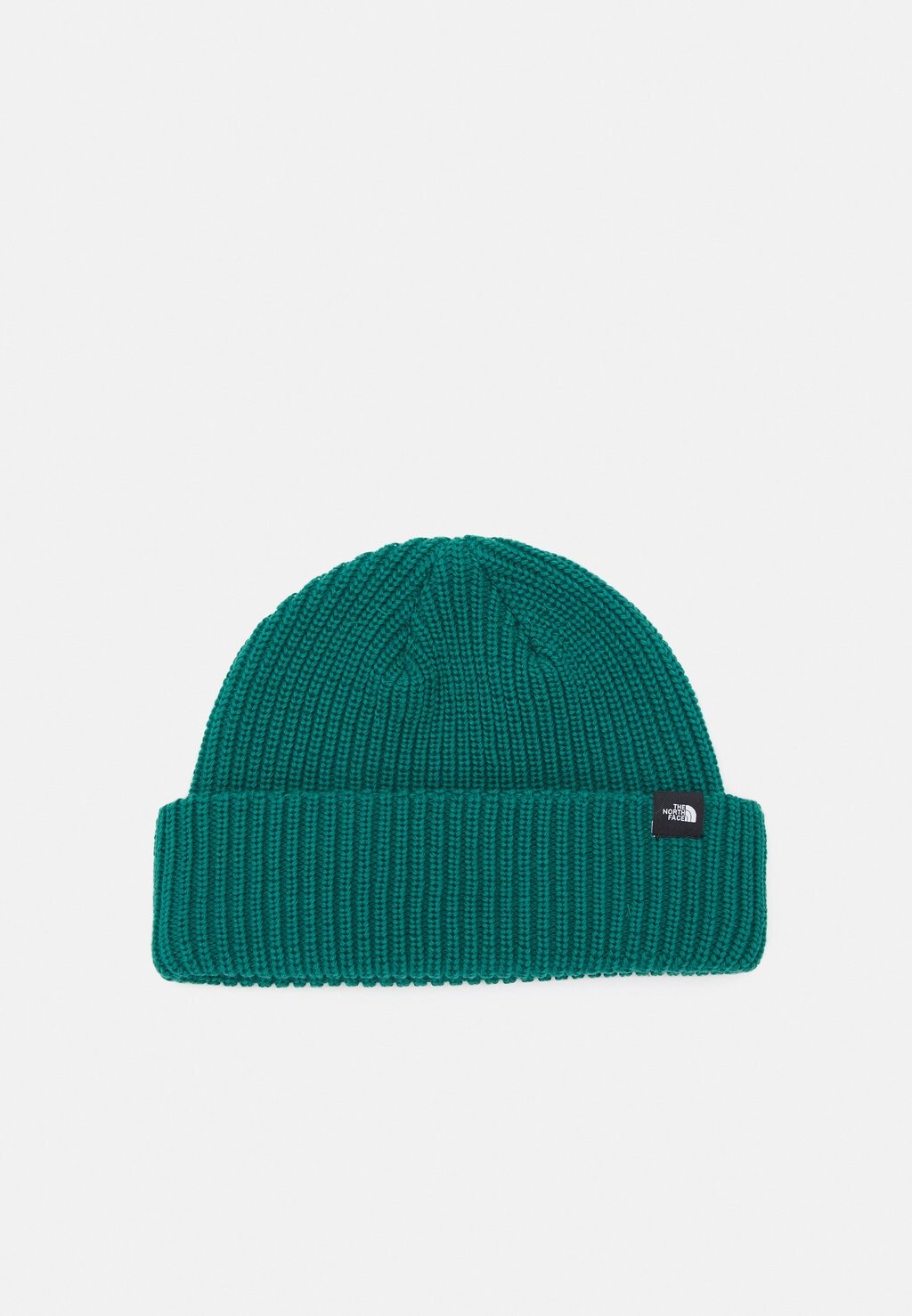 

Бейсболка FISHERMAN BEANIE UNISEX The North Face, зеленый