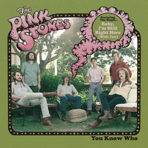 

Виниловая пластинка Pink Stones: You Know Who