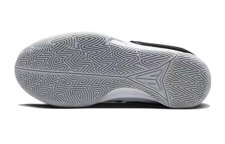 

Мужские баскетбольные кроссовки Nike Ja 1, Light Gray