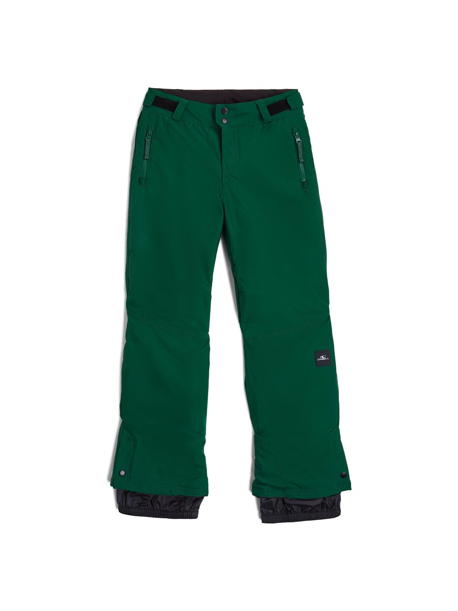 

Обычные брюки для активного отдыха O'NEILL, Fir