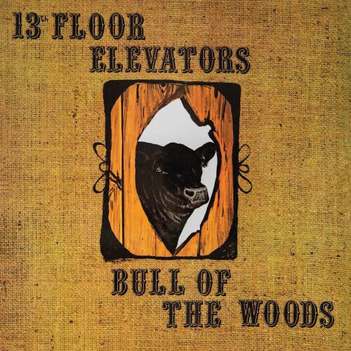 

Виниловая пластинка 13th Floor Elevators: Bull Of The Woods - Half-Speed Master