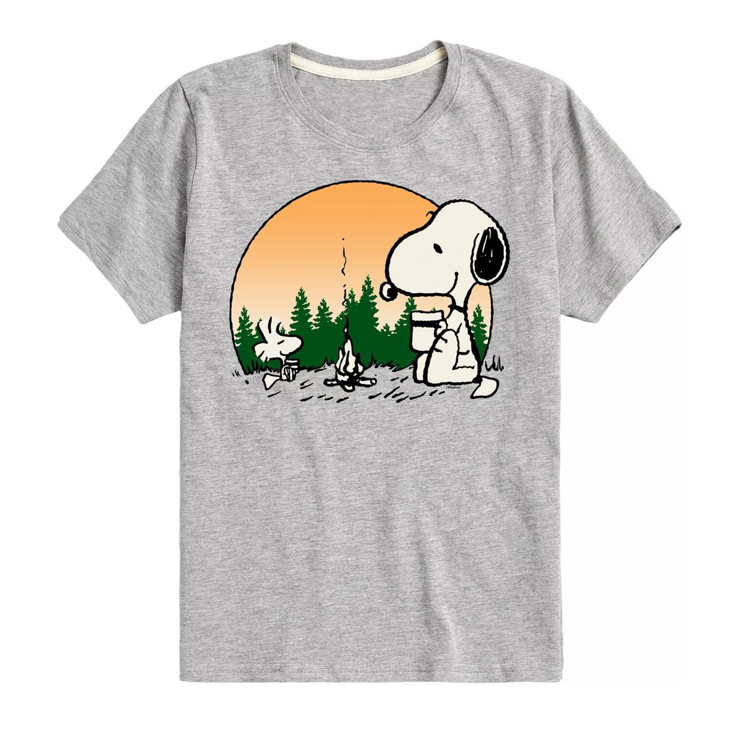 

Футболка с рисунком Peanuts Snoopy Campfire для мальчиков 8–20 лет Licensed Character, серый