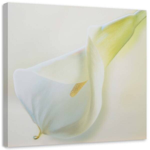 

Фрески Feeby Callas Blumen Natur Weiß, бежевый