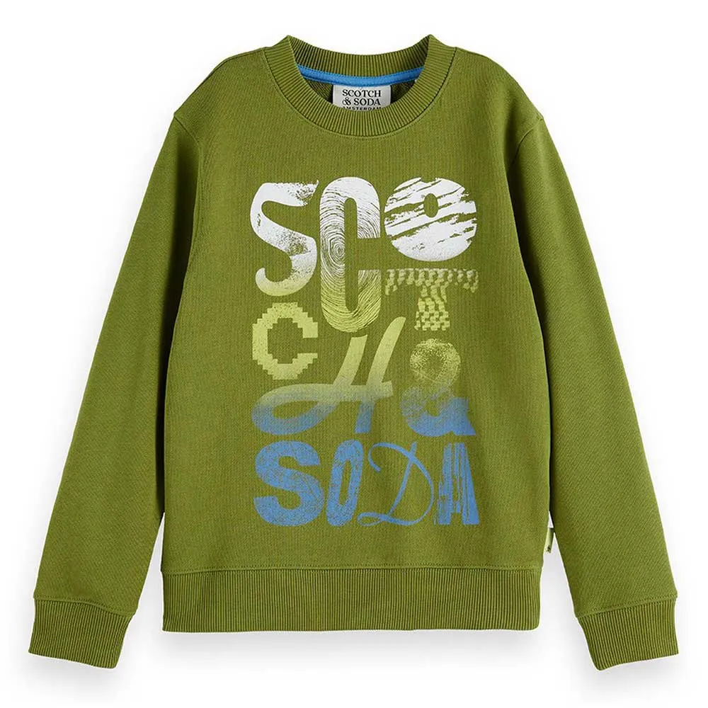 

Толстовка Scotch & Soda Regular Fit Front Artwork, зеленый