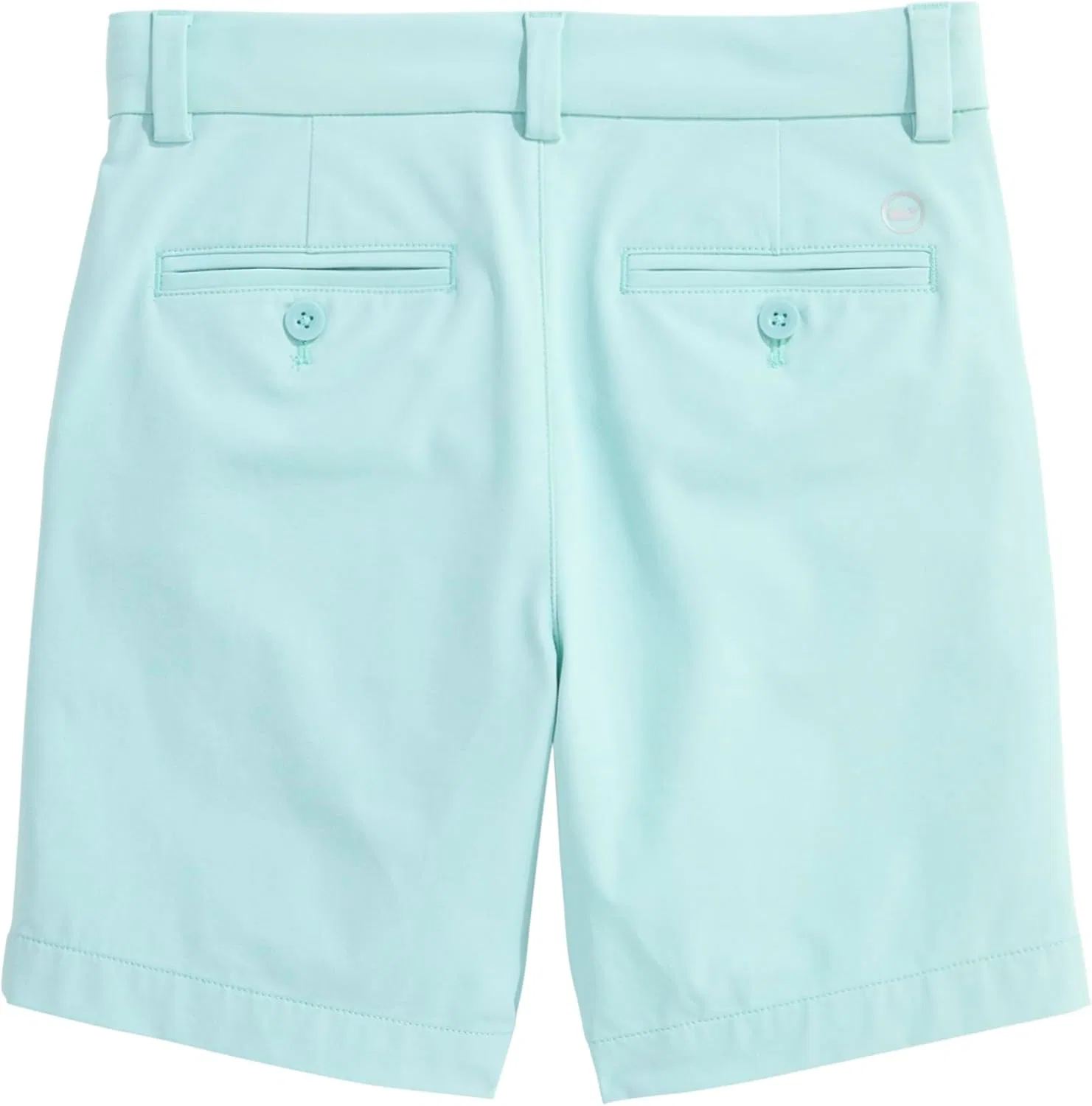 Детские спортивные шорты Vineyard Vines для мальчиков, Aqua Haze — фото 2
