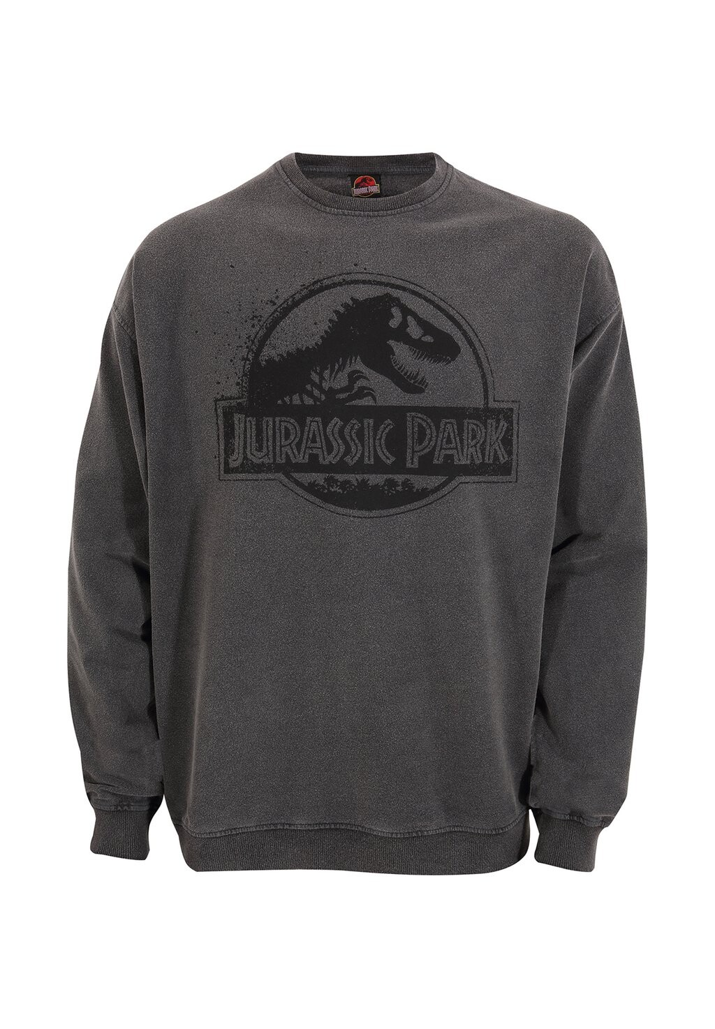 

Толстовка JURASSIC PARK SPRAY LOGO Henry Tiger, антрацит