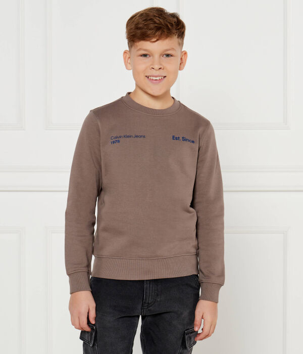 

Свитер Regular fit Calvin Klein Jeans, коричневый