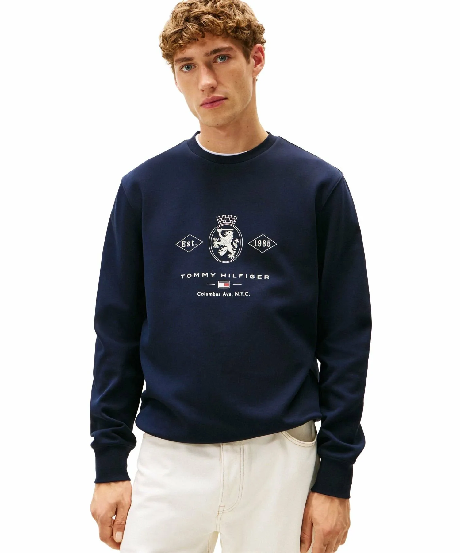 Толстовка с графическим изображением герба бриллианта TOMMY HILFIGER, Navy DW5