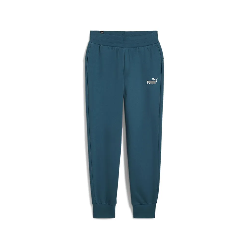 

Спортивные брюки Puma ESS, зеленый/синий