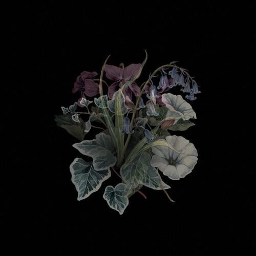 

Виниловая пластинка Nhor - Wildflowers