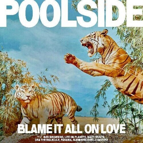 

Виниловая пластинка Poolside - Blame It All On Love