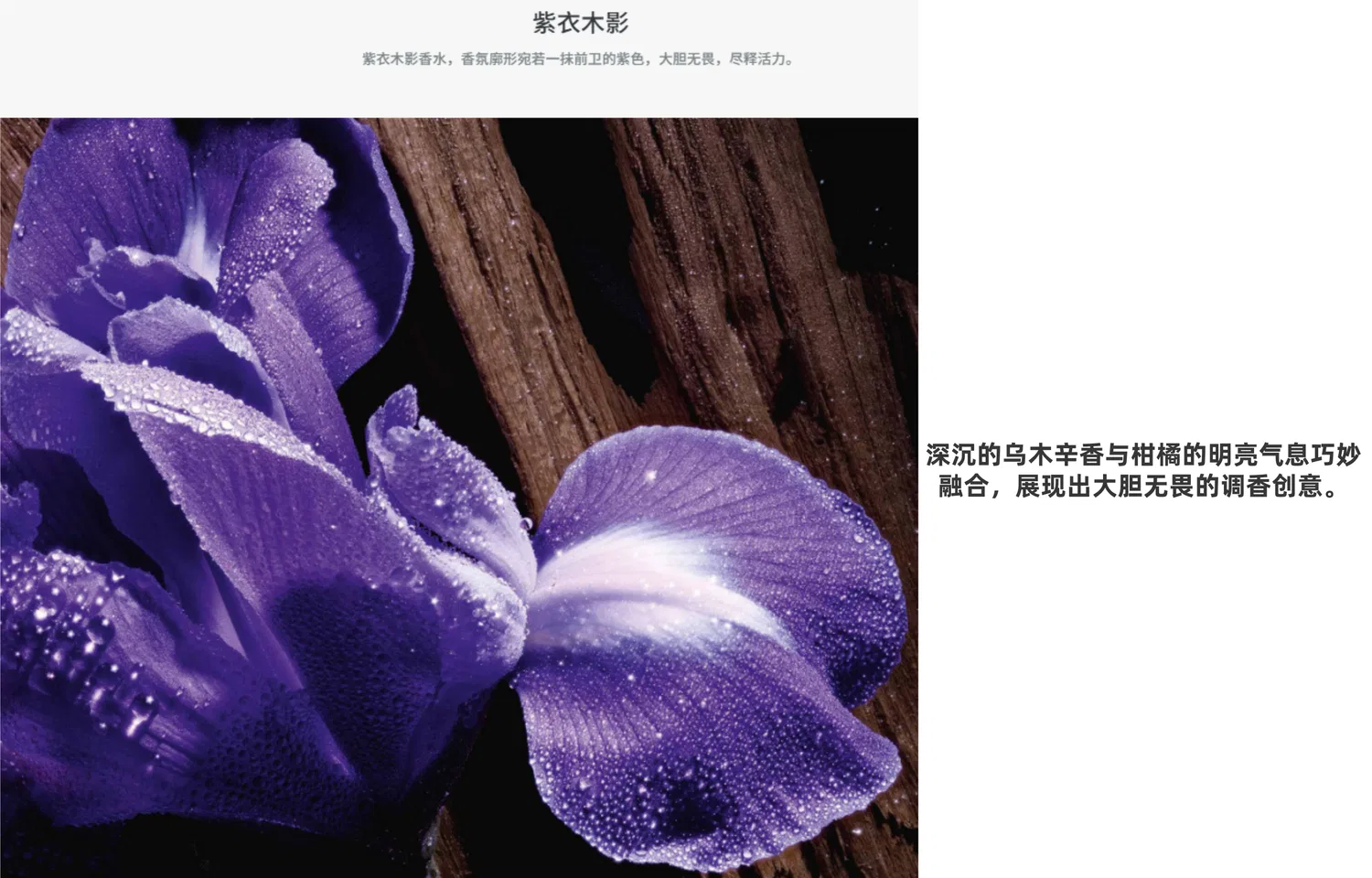 Парфюмированная вода Dior Purple Robe Shadow 100ml — фото 3