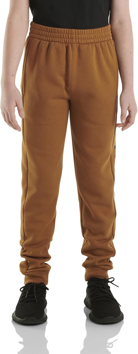 

Детские флисовые спортивные брюки с логотипом Carhartt CK8429 для мальчиков, Carhartt Brown Classic