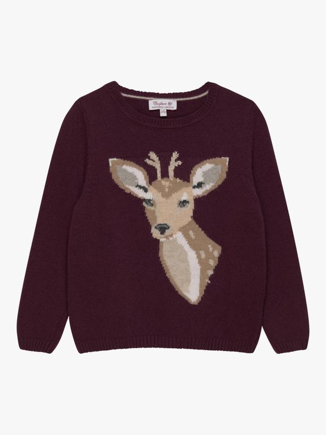 

Детский джемпер Dasher из шерстяной смеси Trotters, Claret