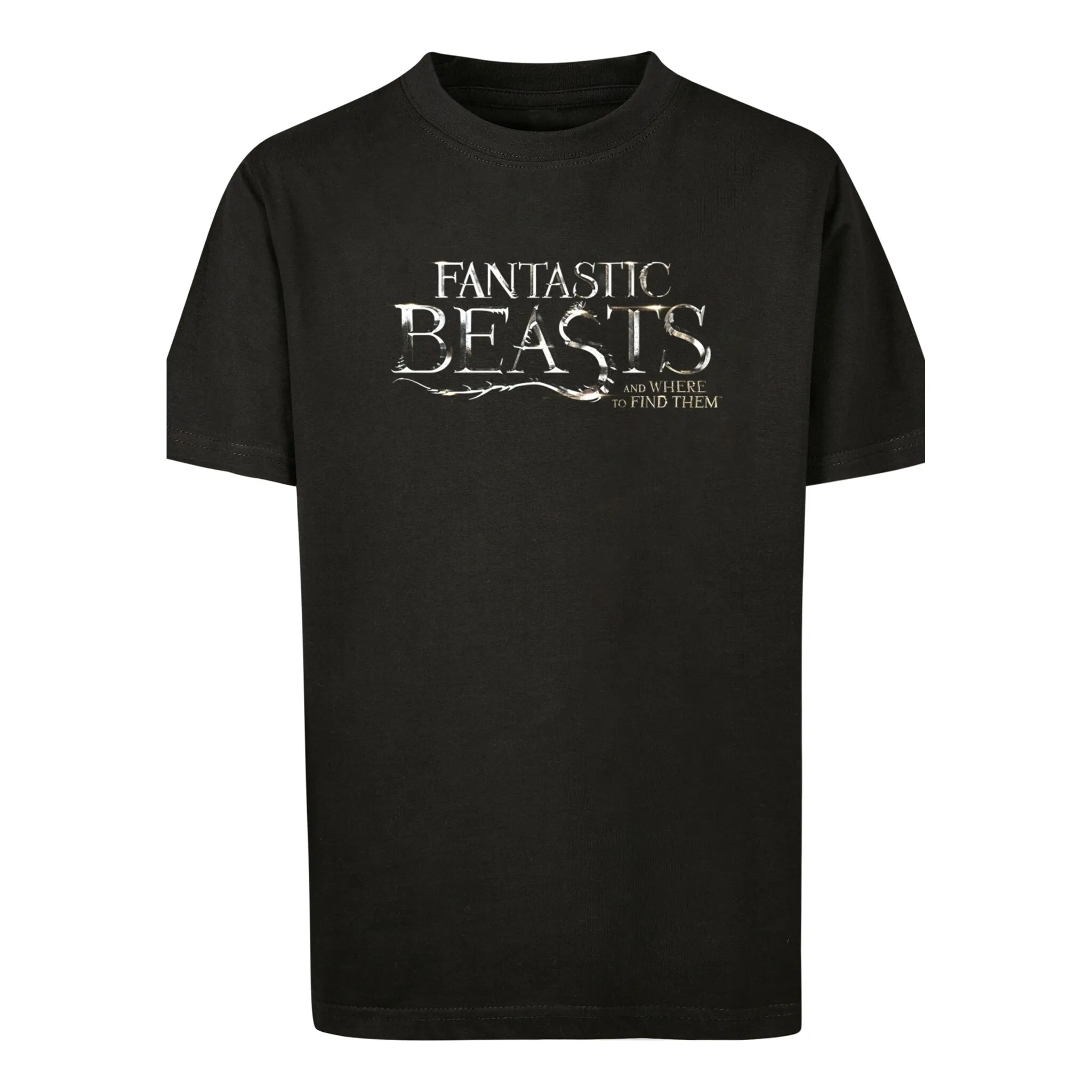 

Футболка F4NT4STIC «Фантастические твари Fantastic Beasts Text Logo», принт, черный