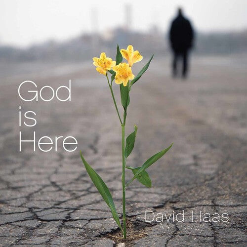 

CD диск Haas, David: God Is Here