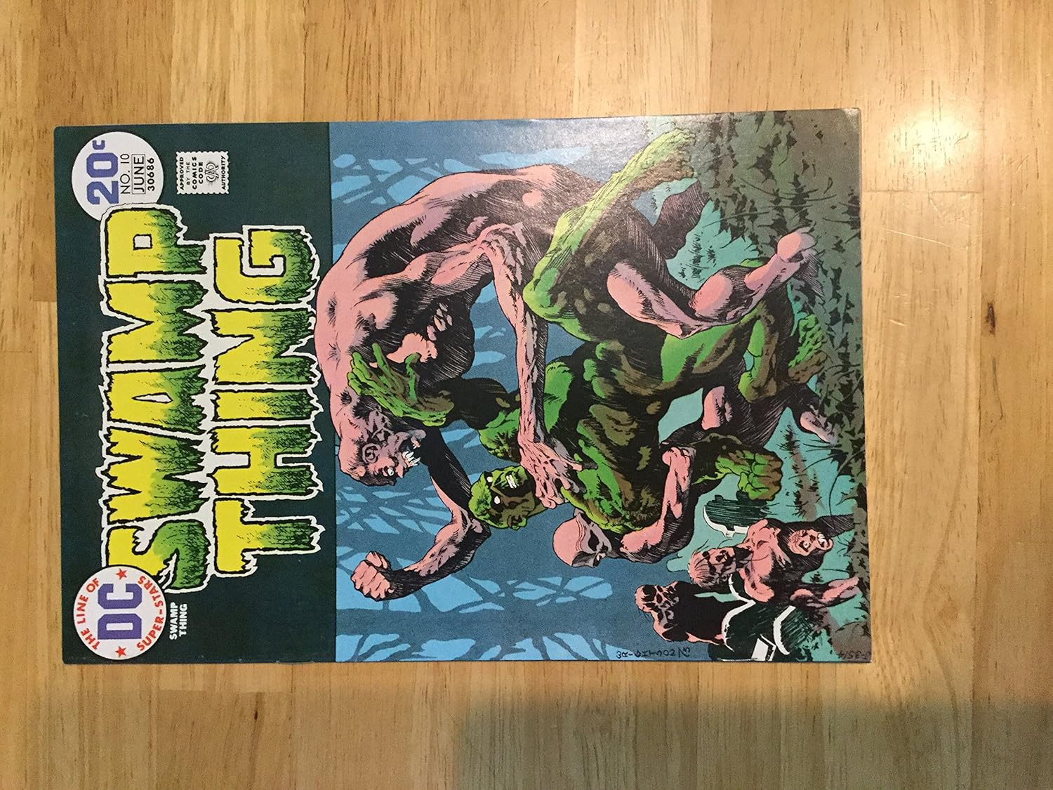 

Swamp Thing (1972 series) #10 (DC Comics)