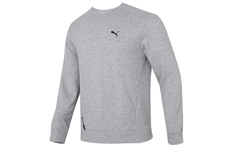 

Толстовка RAD/CAL мужская серая Puma, серый