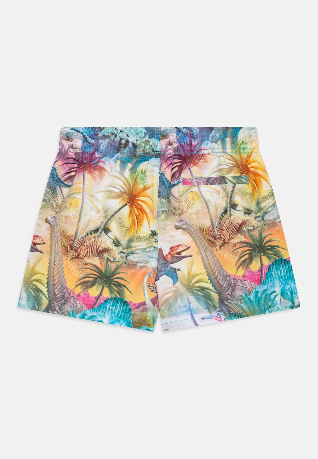 

Шорты для плавания Niko Boardies Molo, разноцветные