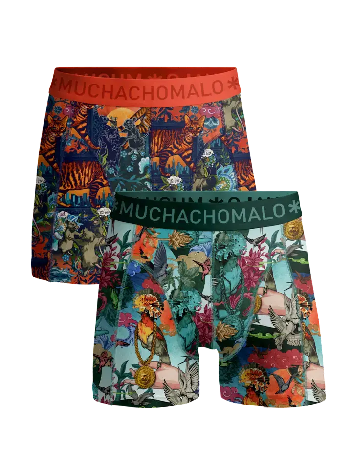 

Боксеры Muchachomalo 2er Set short, разноцветный
