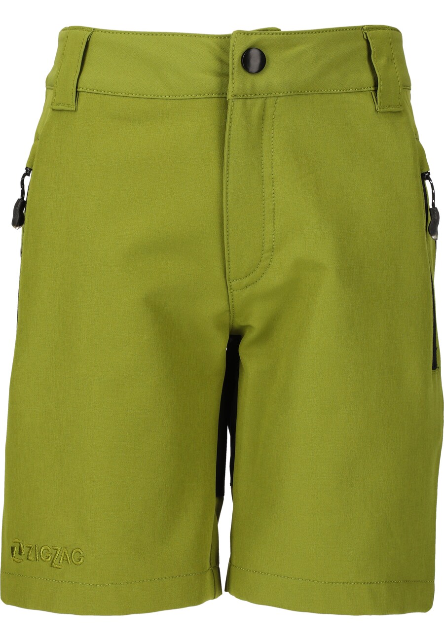 

Брюки ZigZag Regular Pants Scorpio, цвет Lime