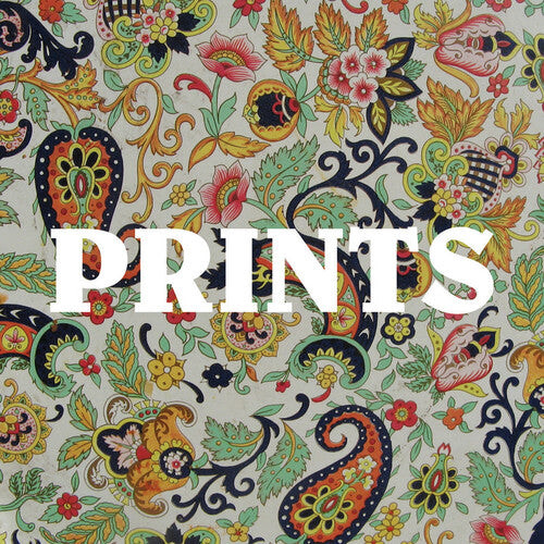 

Виниловая пластинка Prints: Prints