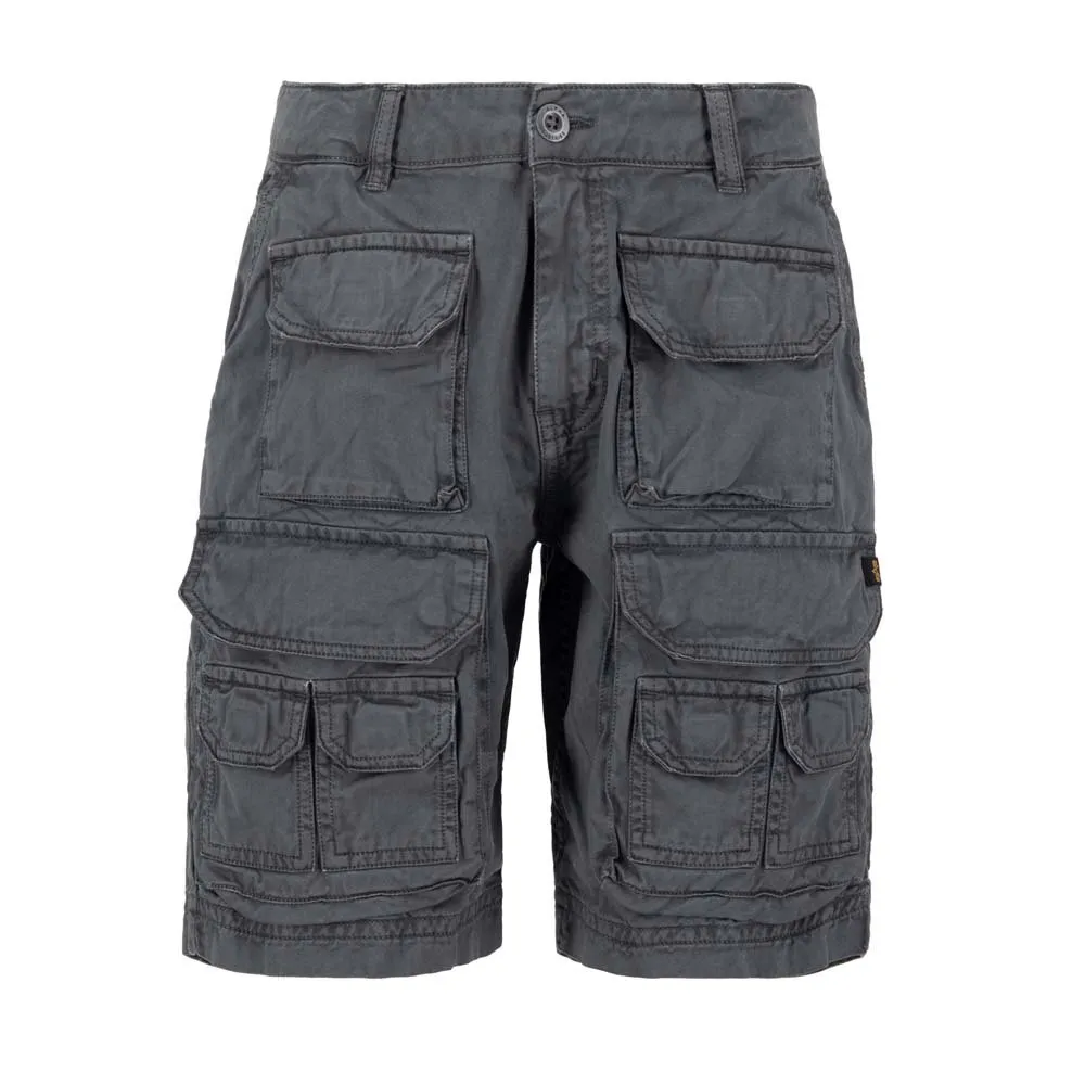 

Шорты Alpha Industries Battle, серый