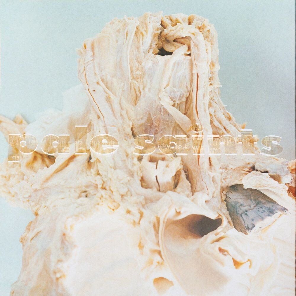 

Виниловая пластинка LP In Ribbons [30th Anniversary Unpigmented Vinyl] - Pale Saints