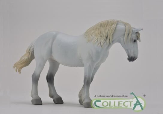 

Collecta, Коллекционная статуэтка, Жеребец Камполина