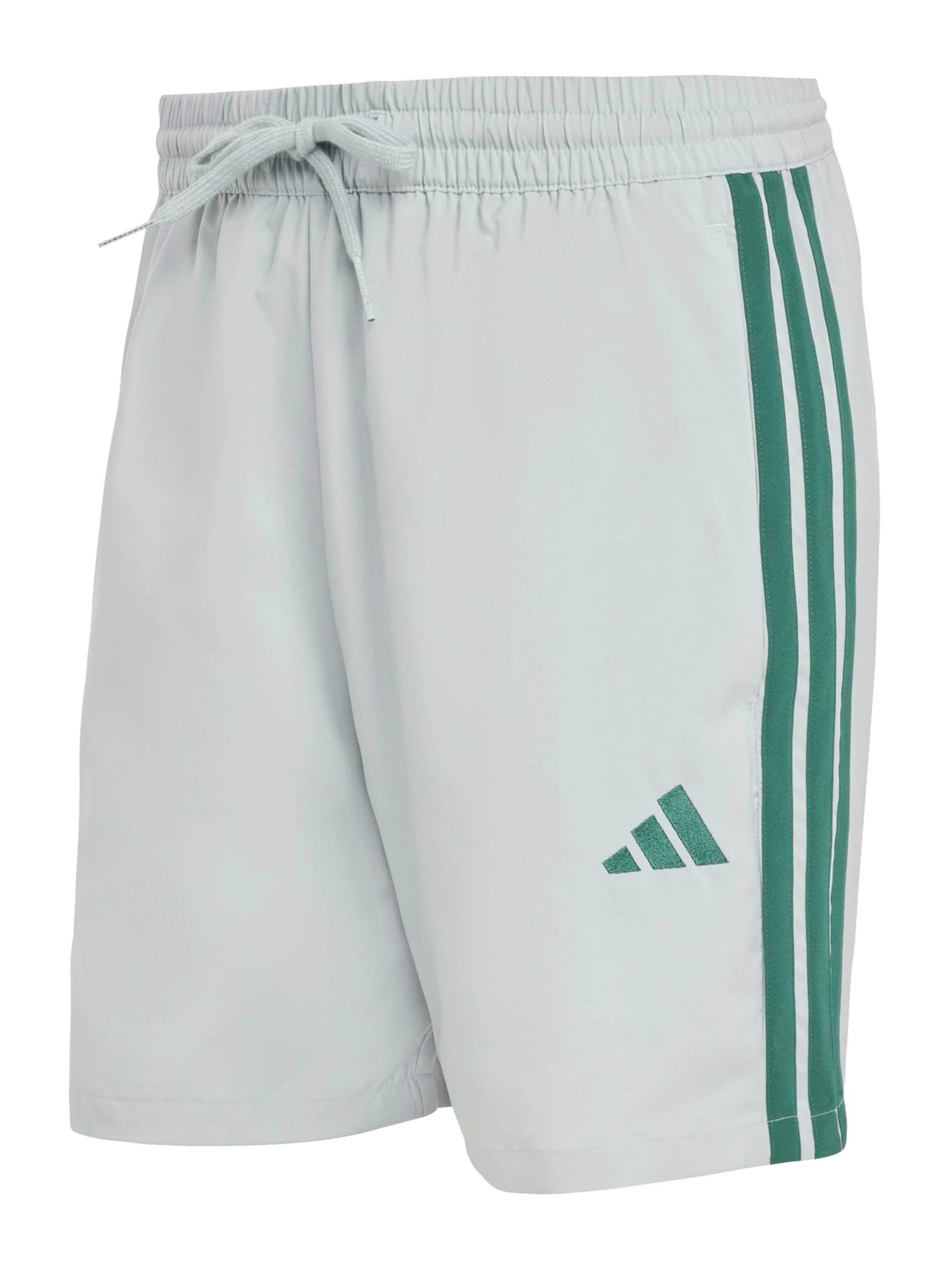 Adidas Sportswear Шорты для тренировок Regular 'Essentials Chelsea' в цвете Reed, Pastel Green — фото 2