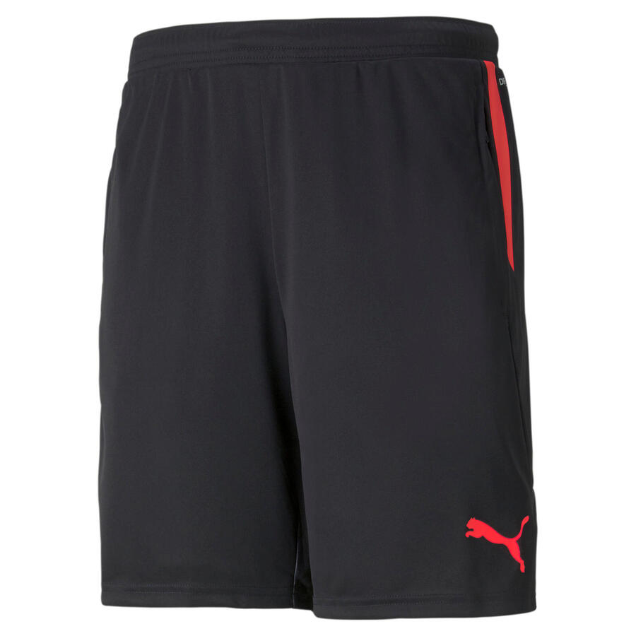 

Мужские шорты Puma individualCUP shorts 657546