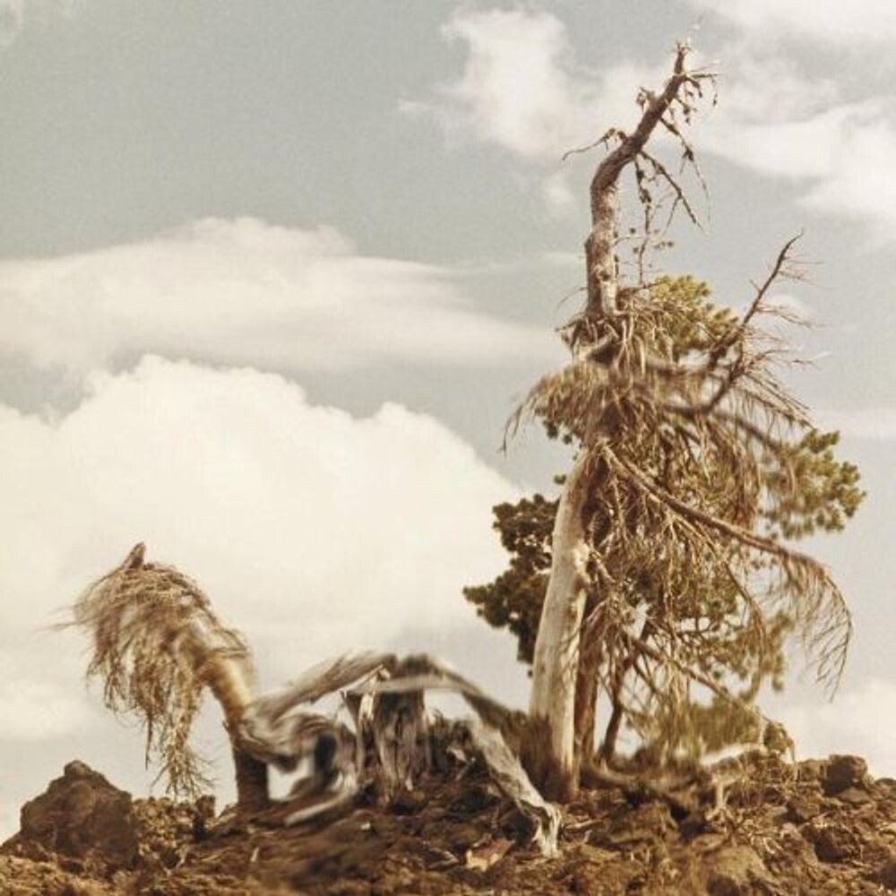

Виниловая пластинка LP Sleep Formations - People of the North