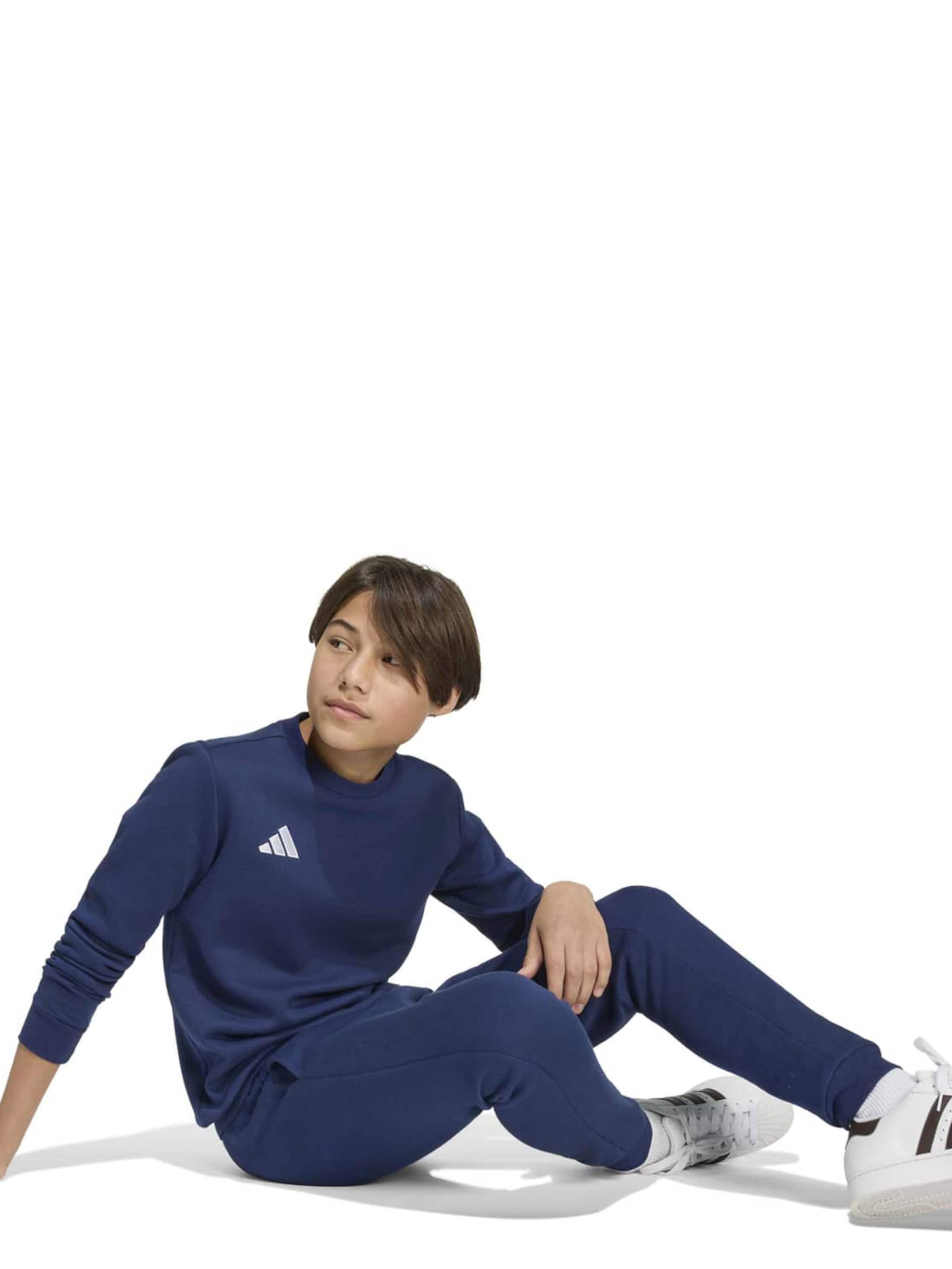 Adidas Performance Спортивная толстовка 'ENT26' в цвете Navy — фото 3