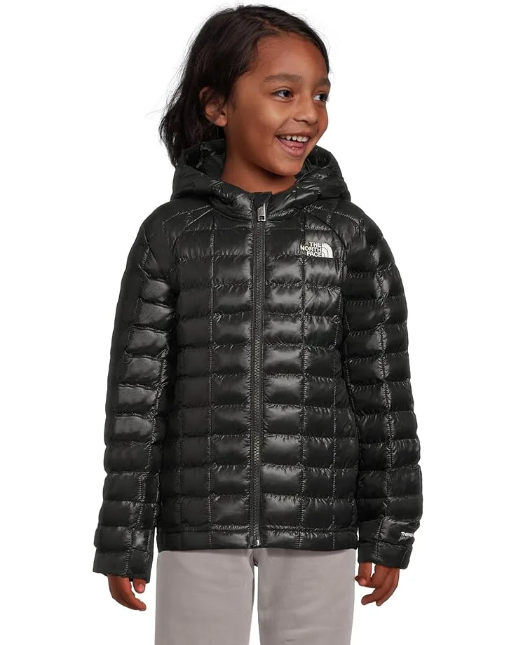 Куртка The North Face Kids ThermoBall Hooded Jacket (Toddler), TNF Black