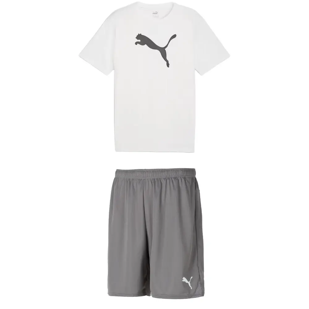 

Повседневная спортивная одежда для мужчин Puma