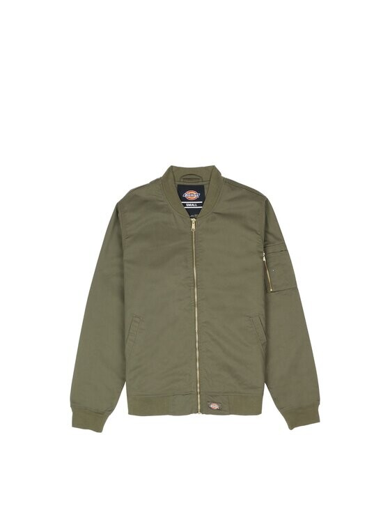 

Уличная куртка regular fit Dickies, зеленый