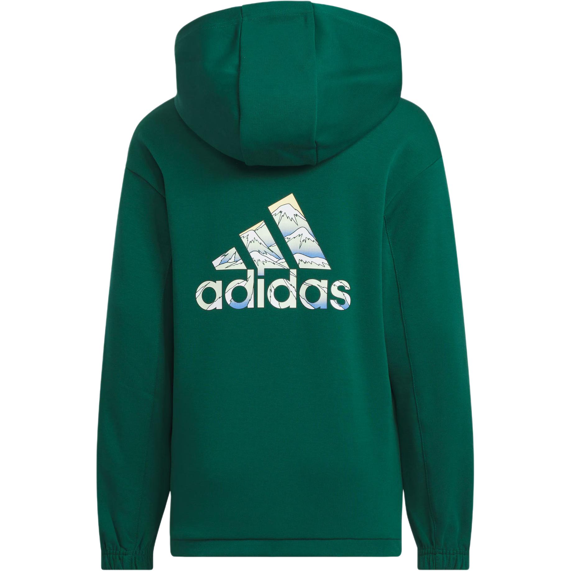 Толстовка CITY ESCAPE FW24 GRAPHIC CREW Зеленая Подростки Adidas — фото 3