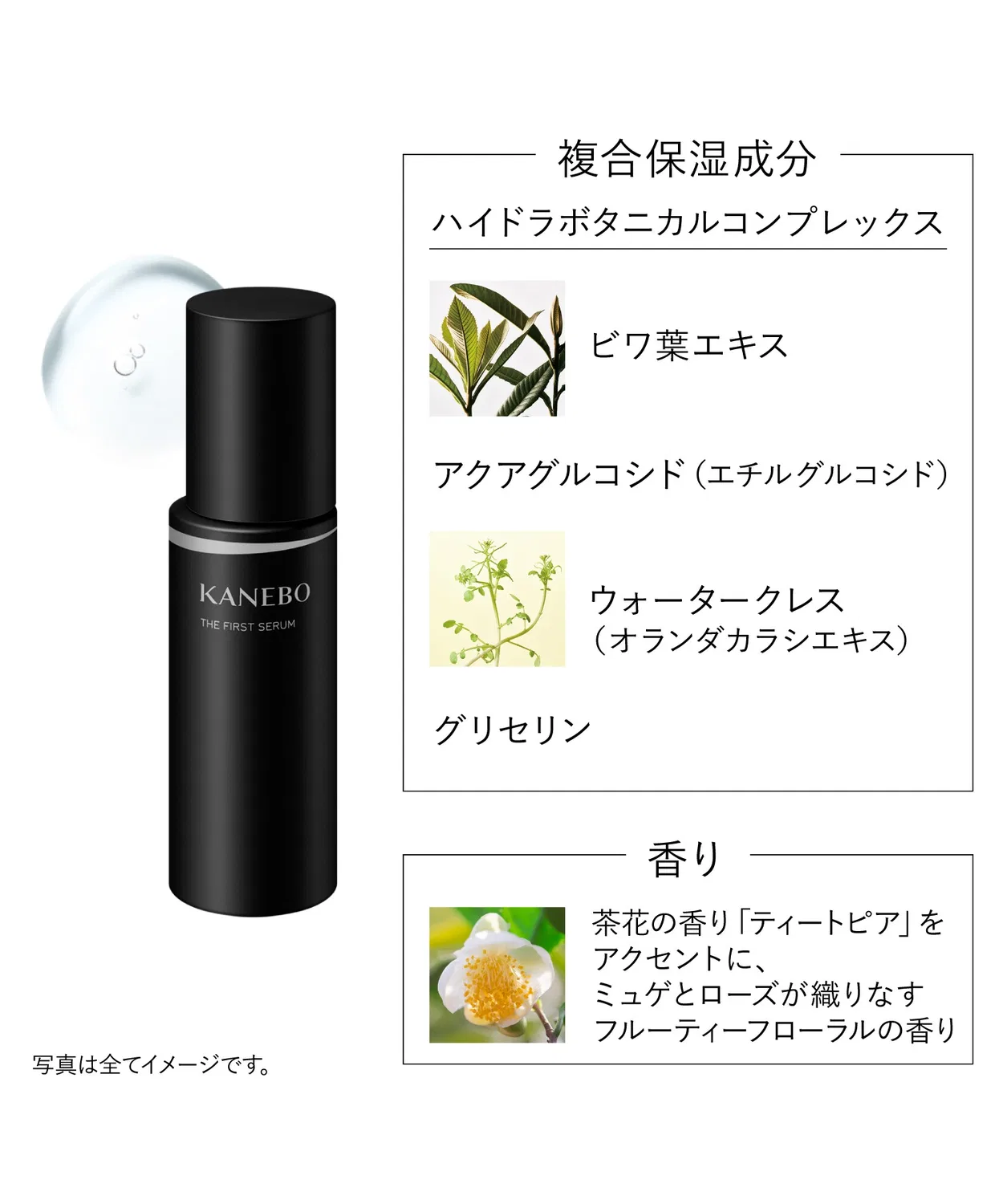 Сыворотка Kanebo — Увлажняющая The First Serum A, , бесцветная, 40 мл — фото 4
