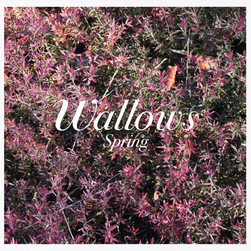 

CD диск Wallows: Spring