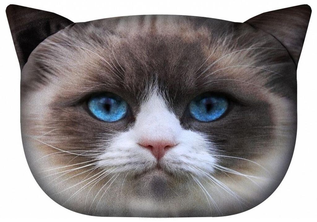 

Декоративная подушка для дивана »CAT Daisy« PT02 Arso