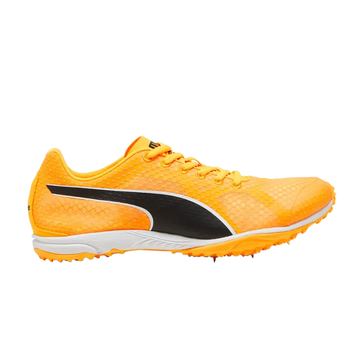 

Кроссовки evoSpeed Haraka 8, цвет Sun Stream, Оранжевый, Кроссовки evoSpeed Haraka 8, цвет Sun Stream
