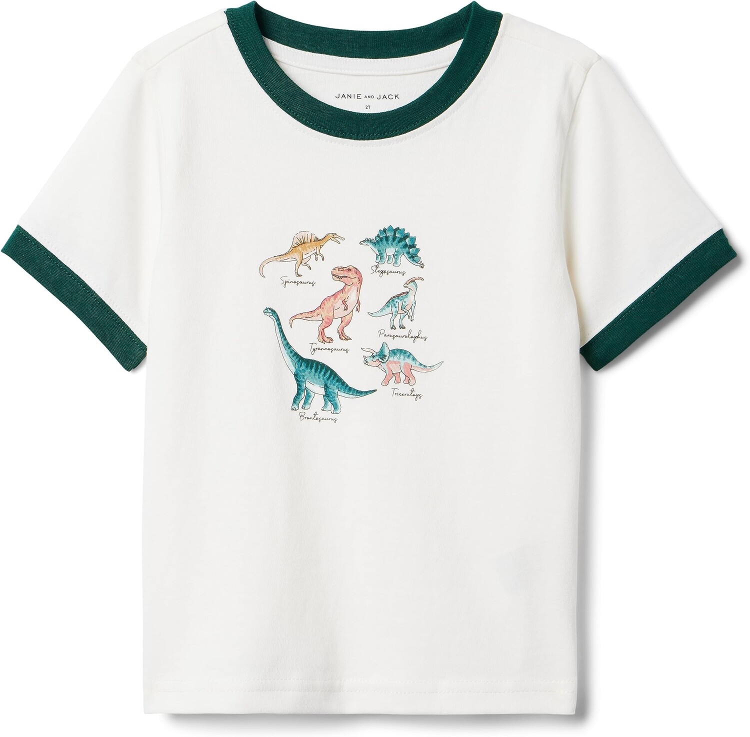 

Футболка Janie and Jack Dino Graphic Tee, цвет Multicolor