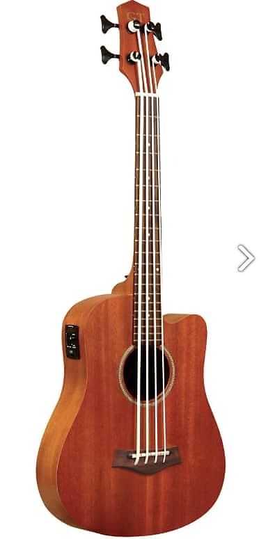 

Басс гитара Gold Tone M-Bass