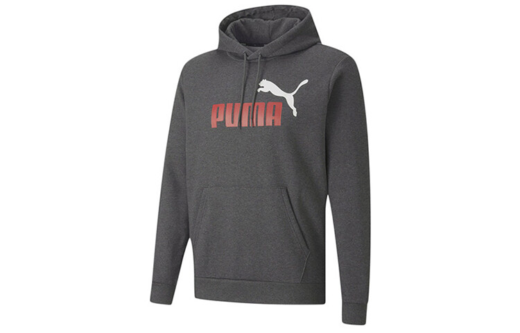 

Толстовка мужская Puma, серый