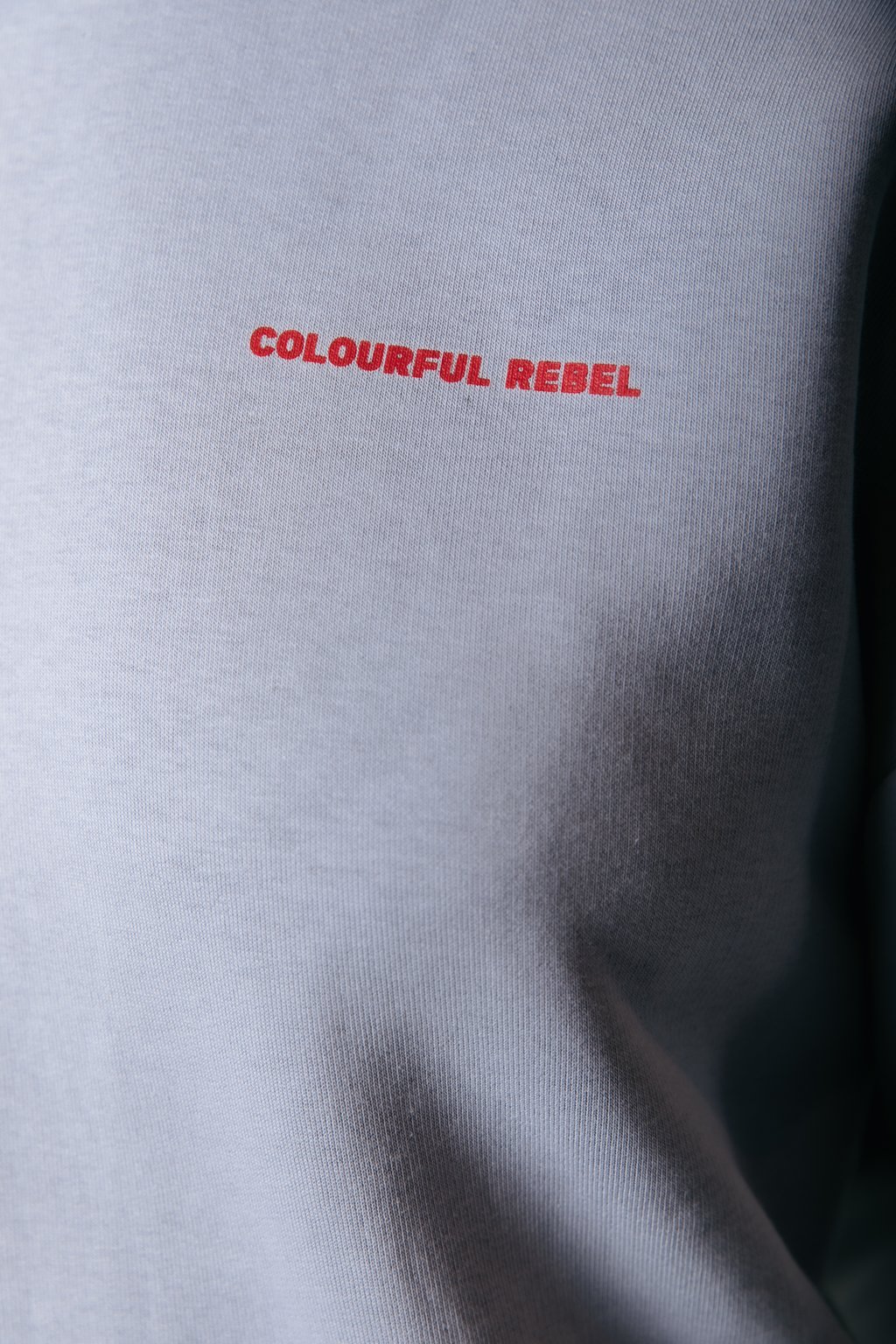 

Толстовка WORLD TOUR CLEAN HOODIE Colourful Rebel, светло-серый