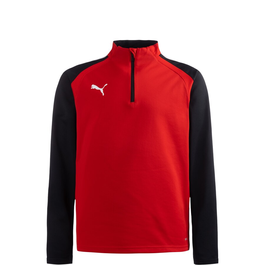 

Спортивная толстовка PUMA TeamLiga 14, красный