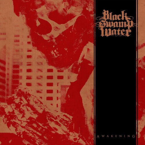

Виниловая пластинка Black Swamp Water: Awakening