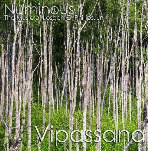 

CD диск Numinous: Vipassana