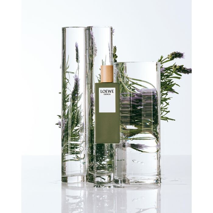Мужская туалетная вода Esencia Pour Homme Loewe, 100 — фото 3