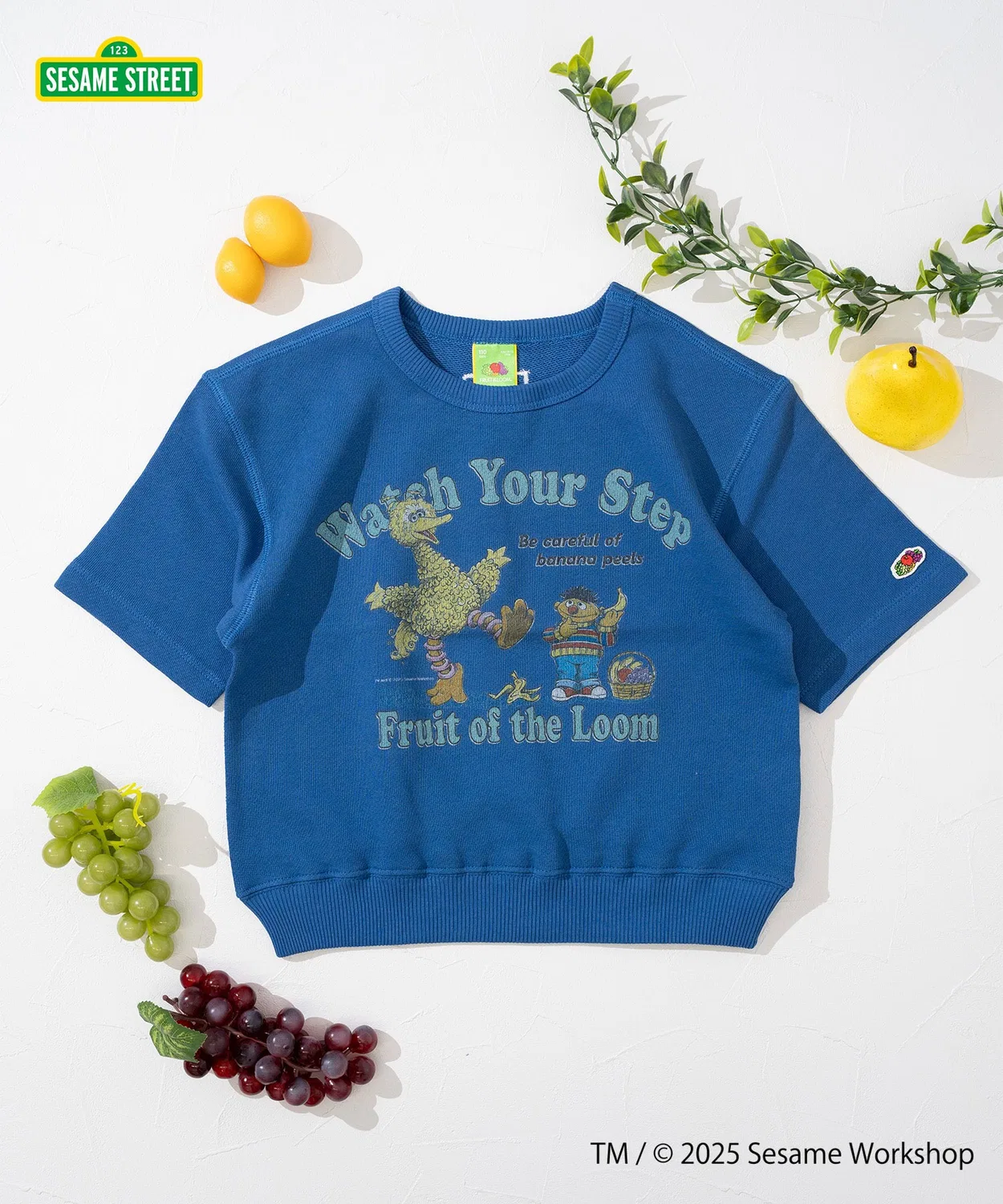 Полурукав свитшот детский Fruit of the Loom с принтом Sesame Street, хлопок 100%, синий